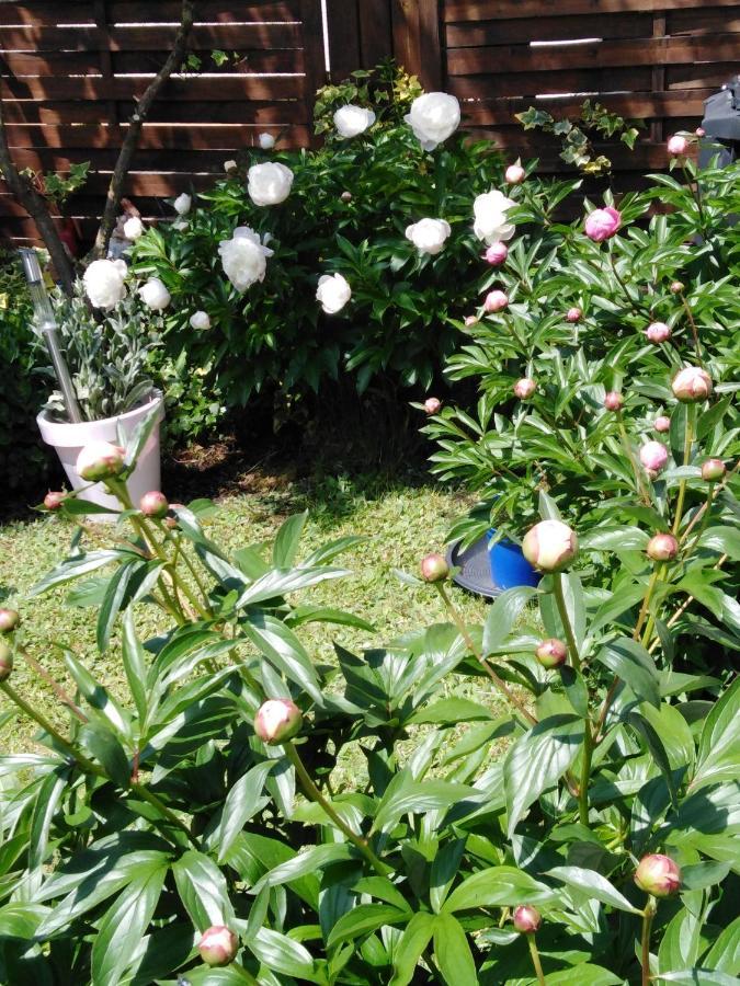 Ferienwohnung Mit Kleinem Garten 소넨불 외부 사진